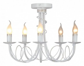Люстра на штанге Vitaluce V3035 V3035-0/5PL в Южноуральске - yuzhnouralsk.ok-mebel.com | фото 2
