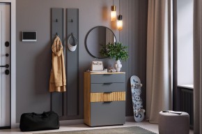 МЕБЕЛЬСОН К21 Прихожая в Южноуральске - yuzhnouralsk.ok-mebel.com | фото 2