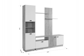 МОДИ К1 Гостиная (белое дерево) в Южноуральске - yuzhnouralsk.ok-mebel.com | фото 2