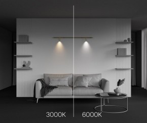 Модульный светильник Maytoni Focus LED C102CL-3W3-6K-BS в Южноуральске - yuzhnouralsk.ok-mebel.com | фото 4