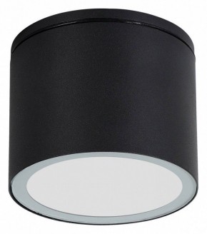 Накладной светильник Arte Lamp Piautos A1913PF-1BK в Южноуральске - yuzhnouralsk.ok-mebel.com | фото