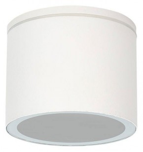 Накладной светильник Arte Lamp Piautos A1913PF-1WH в Южноуральске - yuzhnouralsk.ok-mebel.com | фото