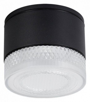 Накладной светильник Arte Lamp Piautos A1926PF-1BK в Южноуральске - yuzhnouralsk.ok-mebel.com | фото