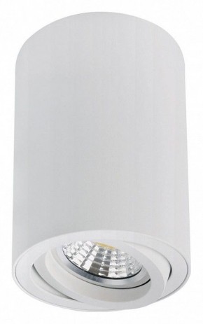 Накладной светильник Arte Lamp Sentry A1566PL-1WH в Южноуральске - yuzhnouralsk.ok-mebel.com | фото