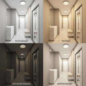 Накладной светильник Denkirs Cany DK6516-WH в Южноуральске - yuzhnouralsk.ok-mebel.com | фото 2