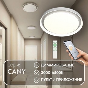 Накладной светильник Denkirs Cany DK6516-WH в Южноуральске - yuzhnouralsk.ok-mebel.com | фото 4