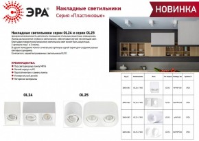 Накладной светильник Эра OL24-1 WH Б0054381 в Южноуральске - yuzhnouralsk.ok-mebel.com | фото 2