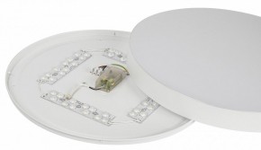 Накладной светильник Эра Relict Relict 48 Pult SPB-6-60-RC WH в Южноуральске - yuzhnouralsk.ok-mebel.com | фото 11