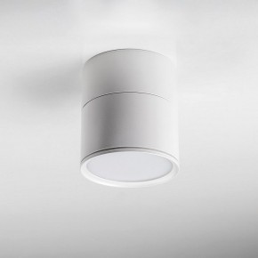 Накладной светильник Lightstar Acuto 215886 в Южноуральске - yuzhnouralsk.ok-mebel.com | фото 3