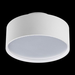 Накладной светильник Lightstar Acuto 215936 в Южноуральске - yuzhnouralsk.ok-mebel.com | фото 3