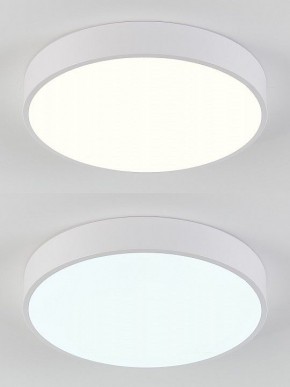 Накладной светильник Natali Kovaltseva  LED LAMPS 81111/5C в Южноуральске - yuzhnouralsk.ok-mebel.com | фото 4