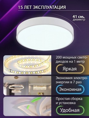 Накладной светильник Natali Kovaltseva  LED LAMPS 81111/5C в Южноуральске - yuzhnouralsk.ok-mebel.com | фото 5