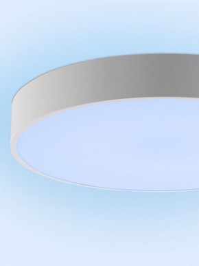 Накладной светильник Natali Kovaltseva MODERN LED LAMPS 81105/2C в Южноуральске - yuzhnouralsk.ok-mebel.com | фото 12