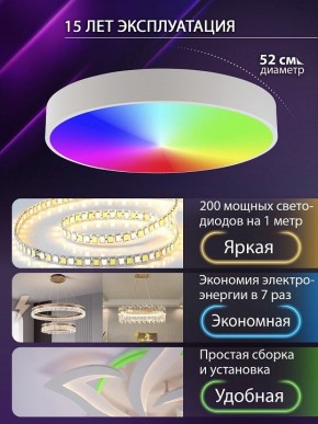 Накладной светильник Natali Kovaltseva MODERN LED LAMPS 81105/2C в Южноуральске - yuzhnouralsk.ok-mebel.com | фото 6