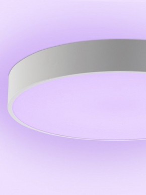 Накладной светильник Natali Kovaltseva MODERN LED LAMPS 81105/2C в Южноуральске - yuzhnouralsk.ok-mebel.com | фото 9