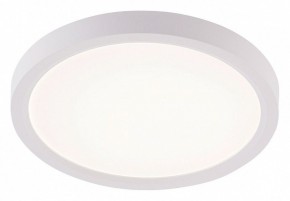 Накладной светильник Natali Kovaltseva PLAIN LED LAMPS 81113/1C в Южноуральске - yuzhnouralsk.ok-mebel.com | фото