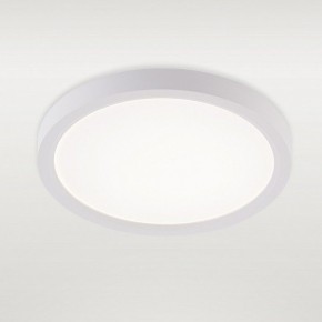 Накладной светильник Natali Kovaltseva PLAIN LED LAMPS 81113/1C в Южноуральске - yuzhnouralsk.ok-mebel.com | фото 2