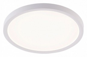 Накладной светильник Natali Kovaltseva PLAIN LED LAMPS 81113/2C в Южноуральске - yuzhnouralsk.ok-mebel.com | фото