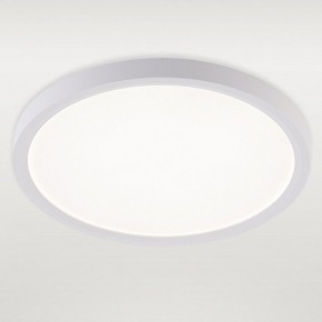 Накладной светильник Natali Kovaltseva PLAIN LED LAMPS 81113/2C в Южноуральске - yuzhnouralsk.ok-mebel.com | фото 2