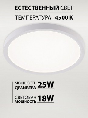 Накладной светильник Natali Kovaltseva PLAIN LED LAMPS 81113/2C в Южноуральске - yuzhnouralsk.ok-mebel.com | фото 3