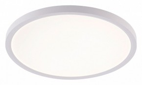 Накладной светильник Natali Kovaltseva PLAIN LED LAMPS 81113/3C в Южноуральске - yuzhnouralsk.ok-mebel.com | фото
