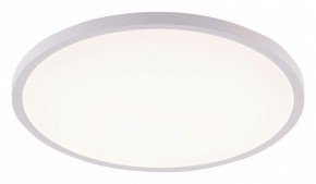 Накладной светильник Natali Kovaltseva PLAIN LED LAMPS 81113/5C в Южноуральске - yuzhnouralsk.ok-mebel.com | фото