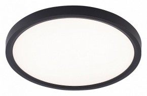 Накладной светильник Natali Kovaltseva PLAIN LED LAMPS 81114/2C в Южноуральске - yuzhnouralsk.ok-mebel.com | фото