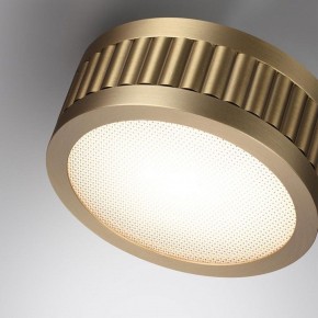 Накладной светильник Odeon Light Manchester 7013/7CL в Южноуральске - yuzhnouralsk.ok-mebel.com | фото 5