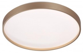 Накладной светильник Sonex Gaby 7783/DL в Южноуральске - yuzhnouralsk.ok-mebel.com | фото 3