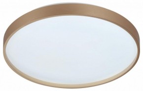 Накладной светильник Sonex Gaby 7783/DL в Южноуральске - yuzhnouralsk.ok-mebel.com | фото 4