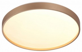 Накладной светильник Sonex Gaby 7783/DL в Южноуральске - yuzhnouralsk.ok-mebel.com | фото 5