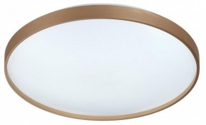 Накладной светильник Sonex Gaby 7783/EL в Южноуральске - yuzhnouralsk.ok-mebel.com | фото 4