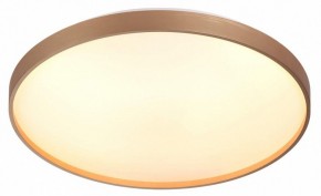 Накладной светильник Sonex Gaby 7783/EL в Южноуральске - yuzhnouralsk.ok-mebel.com | фото 5