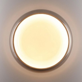 Накладной светильник Sonex PORTMAN 7777/DLN в Южноуральске - yuzhnouralsk.ok-mebel.com | фото 6