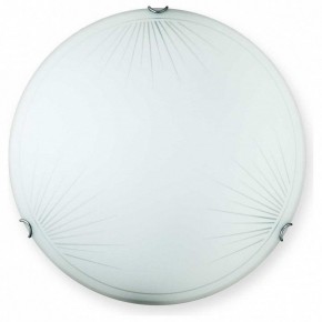 Накладной светильник TopLight Wifa TL9142Y-00WH в Южноуральске - yuzhnouralsk.ok-mebel.com | фото
