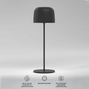 Настольная лампа декоративная Elektrostandard Bitty a069002 в Южноуральске - yuzhnouralsk.ok-mebel.com | фото 2