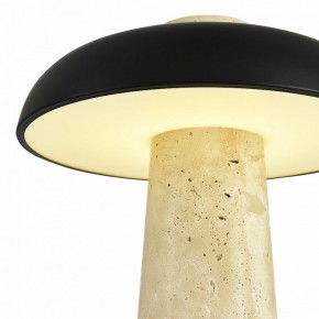 Настольная лампа декоративная ST-Luce Earthy SL1194.424.01 в Южноуральске - yuzhnouralsk.ok-mebel.com | фото 6
