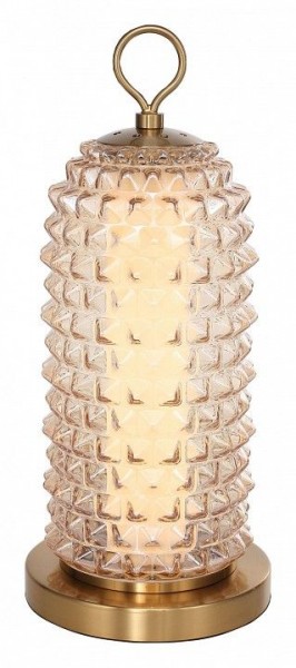 Настольная лампа декоративная ST-Luce SAGUARO SL6144.304.01 в Южноуральске - yuzhnouralsk.ok-mebel.com | фото 2