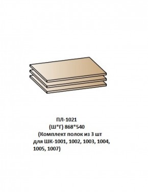 ПЛ-1021 (Комплект полок из 3 шт для ШК-1001, 1002, 1003, 1004, 1005, 1007) в Южноуральске - yuzhnouralsk.ok-mebel.com | фото