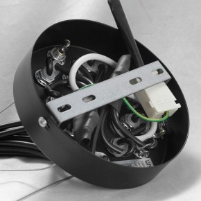 Подвесная люстра Lussole Seneca GRLSP-8177 в Южноуральске - yuzhnouralsk.ok-mebel.com | фото 10