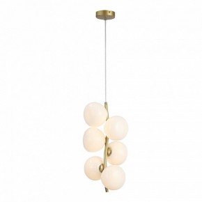 Подвесная люстра ST-Luce Sweven SL1519.303.06 в Южноуральске - yuzhnouralsk.ok-mebel.com | фото 4