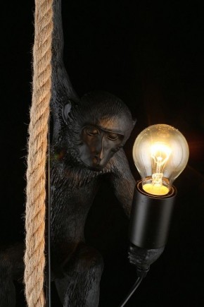 Подвесной светильник Aployt Magali APL.309.16.01 в Южноуральске - yuzhnouralsk.ok-mebel.com | фото 16