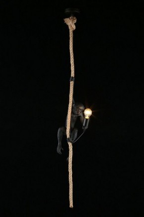 Подвесной светильник Aployt Magali APL.309.16.01 в Южноуральске - yuzhnouralsk.ok-mebel.com | фото 3