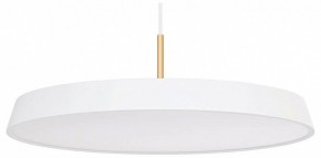 Подвесной светильник Arlight ELEGANT 033925(1) в Южноуральске - yuzhnouralsk.ok-mebel.com | фото