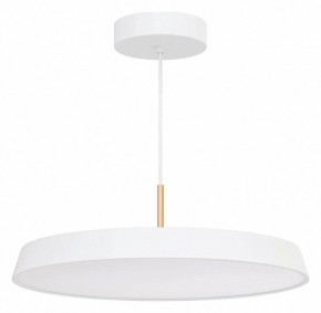 Подвесной светильник Arlight ELEGANT 033925(1) в Южноуральске - yuzhnouralsk.ok-mebel.com | фото 2
