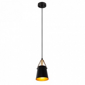 Подвесной светильник Arte Lamp Thomas A7032SP-1BK в Южноуральске - yuzhnouralsk.ok-mebel.com | фото 3