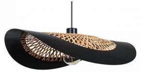 Подвесной светильник Arte Lamp Woodstock A7059SP-1BK в Южноуральске - yuzhnouralsk.ok-mebel.com | фото