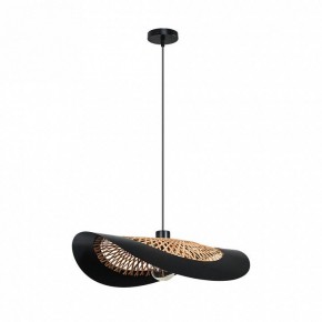Подвесной светильник Arte Lamp Woodstock A7059SP-1BK в Южноуральске - yuzhnouralsk.ok-mebel.com | фото 2
