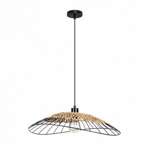 Подвесной светильник Arte Lamp Woodstock A7061SP-1BK в Южноуральске - yuzhnouralsk.ok-mebel.com | фото 2