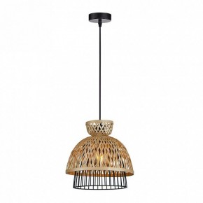 Подвесной светильник Arte Lamp Woodstock A7070SP-1BK в Южноуральске - yuzhnouralsk.ok-mebel.com | фото